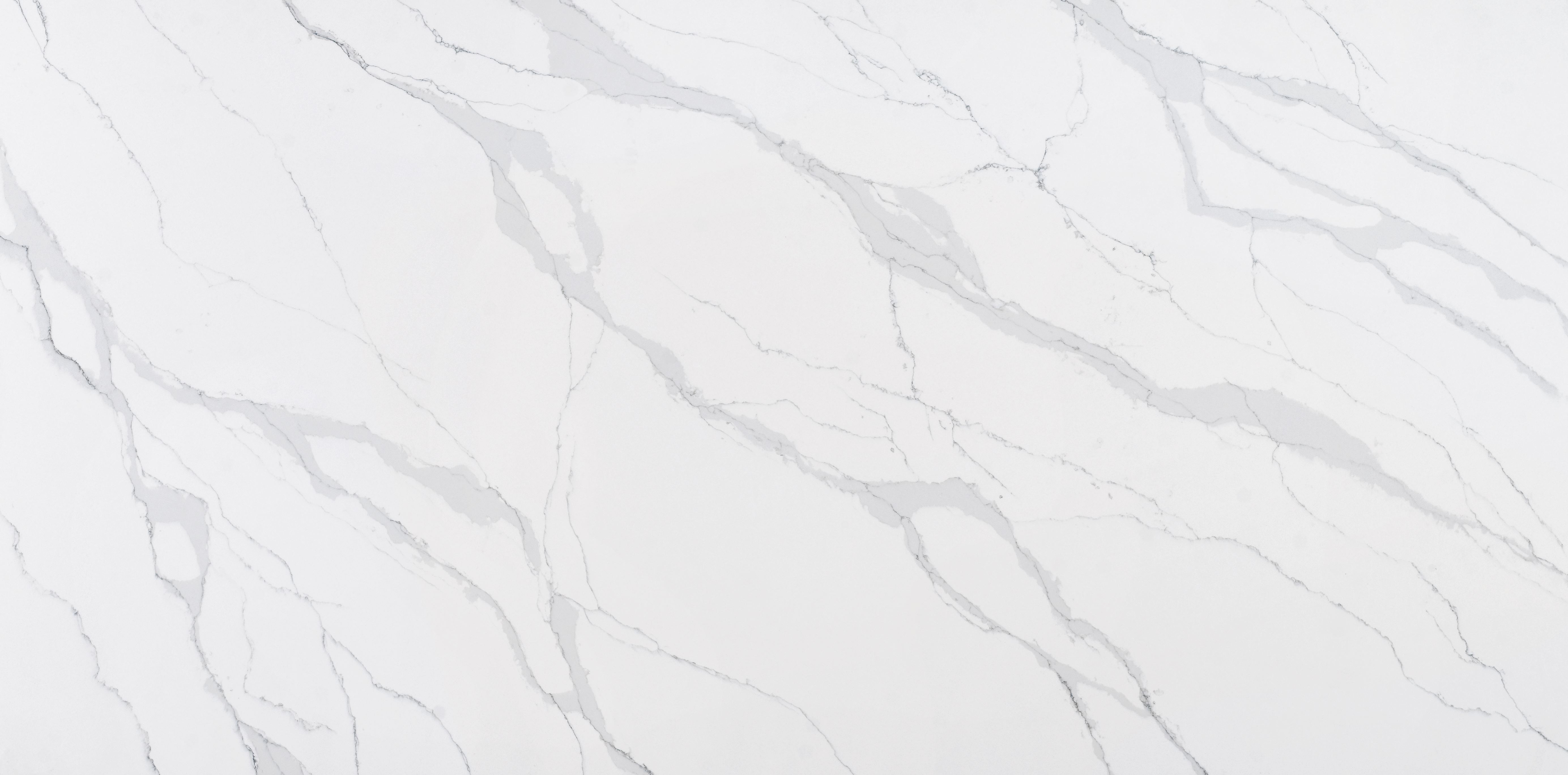 Calacatta Valencia Grey